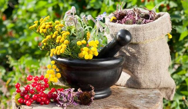 Medicinal herbs that help increase male potency